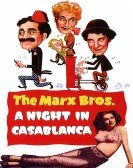 A Night in Casablanca Free Download