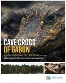 Cave Crocs of Gabon Free Download