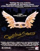 Chameleon Street poster