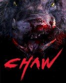 Chaw poster