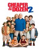 Cheaper By The Dozen 2 poster