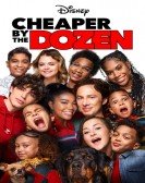 Cheaper by the Dozen Free Download