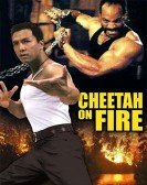 Cheetah on Fire Free Download