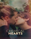 poster_chemical-hearts_tt5843876.jpg Free Download