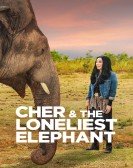 poster_cher-the-loneliest-elephant_tt14303400.jpg Free Download