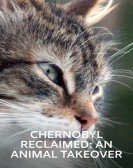 poster_chernobyl-reclaimed-an-animal-takeover_tt1832311.jpg Free Download