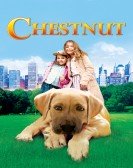 poster_chestnut-hero-of-central-park_tt0387925.jpg Free Download