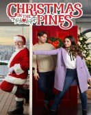 Christmas in the Pines Free Download