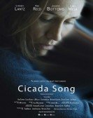 Cicada Song Free Download