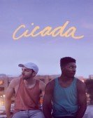 Cicada Free Download