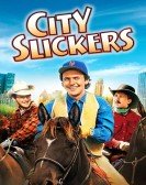 City Slickers Free Download