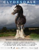 poster_clydesdale-saving-the-greatest-horse_tt14089892.jpg Free Download