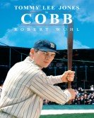 Cobb Free Download