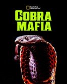 poster_cobra-mafia_tt6241946.jpg Free Download