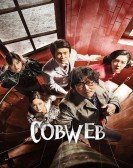 Cobweb Free Download