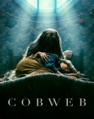 Cobweb poster