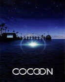 Cocoon Free Download