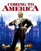 poster_coming-to-america_tt0094898.jpg Free Download