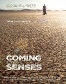 poster_coming-to-my-senses_tt6005298.jpg Free Download