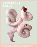 Connective Tissue poster