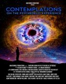 Contemplations : On the Psychedelic Experience poster