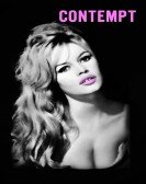 Contempt Free Download