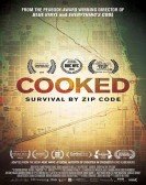 poster_cooked-survival-by-zip-code_tt2490432.jpg Free Download