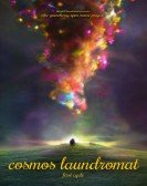 Cosmos Laund poster