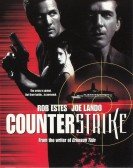 Counterstrik poster