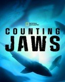 poster_counting-jaws_tt21384736.jpg Free Download