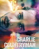 The Necessary Death of Charlie Countryman (2013) poster