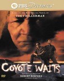 Coyote Waits poster