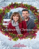 poster_cranberry-christmas_tt13356044.jpg Free Download