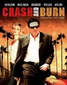 Crash and Bu Free Download