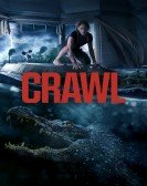 Crawl Free Download