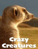 poster_crazy-creatures_tt14255758.jpg Free Download