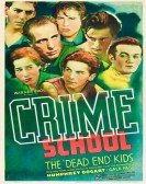 Crime School Free Download