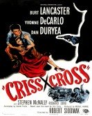 Criss Cross Free Download