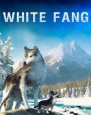 White Fang (2018) - Croc-Blanc Free Download