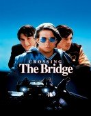 Crossing The Bridge (1992) Free Download