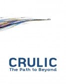 Crulic: The Path to Beyond poster