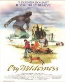 Cry Wilderne poster