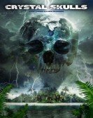 Crystal Skulls Free Download