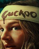 Cuckoo Free Download