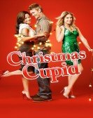 poster_cupid_tt1699746.jpg Free Download