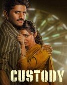 Custody Free Download