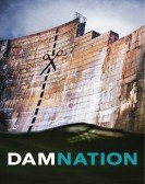 DamNation Free Download