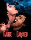 poster_dance-of-the-damned_tt0094942.jpg Free Download