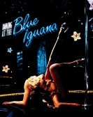 poster_dancing-at-the-blue-iguana_tt0217355.jpg Free Download