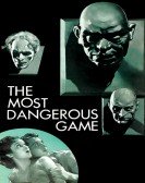 Dangerous Ga Free Download